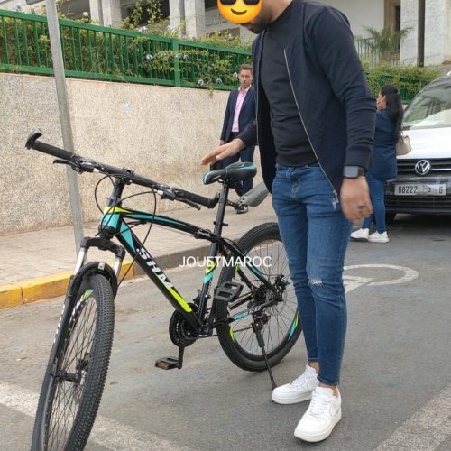 Annonce: Vélo VTT  SHM