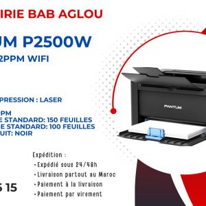 Annonce PANTUM LaserJet P2500W