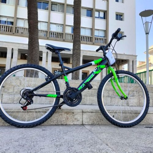 Annonce: Vélo VTT DENbIKE 2024