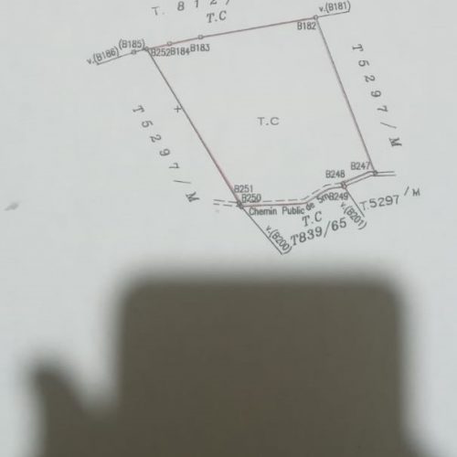 Annonce: à vendre 14 Lots de Terrain d’environ 1 HECTARE TITRÉ Km 20 Route d'Amizmiz