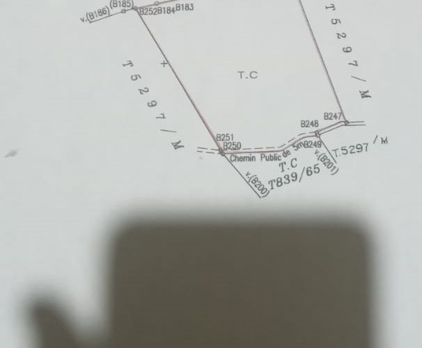 Image annonce: à vendre 14 Lots de Terrain d’environ 1 HECTARE TITRÉ Km 20 Route d’Amizmiz