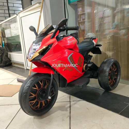 Annonce: Motor électrique Erwan 12v