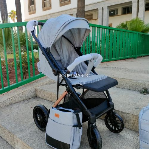 Annonce: Poussette Valise Réversible avec sac et couvre jambes