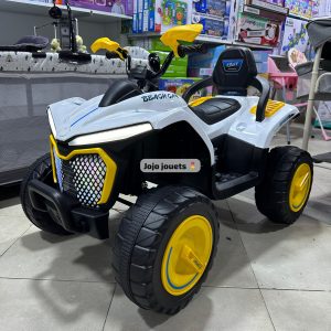 Annonce Quad électrique 12v