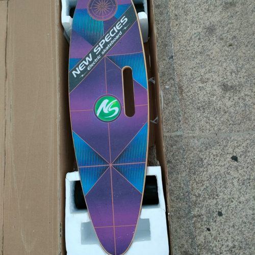 Annonce: Skateboard électrique