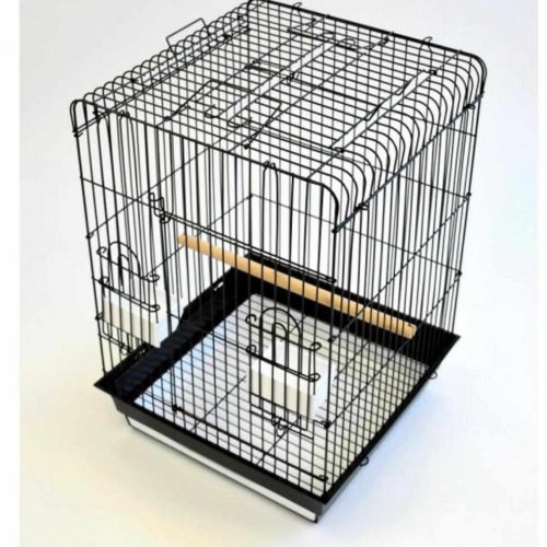Annonce: Cage calopsite