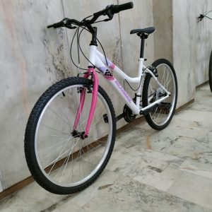 Annonce Vélo VTT DENbIKE