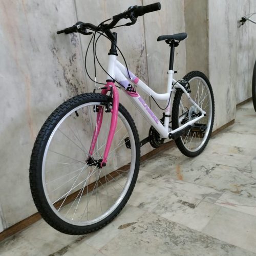 Annonce: Vélo VTT DENbIKE