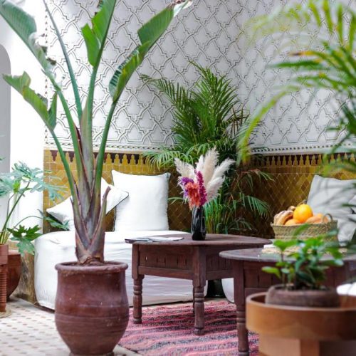Annonce: à vendre Fond de commerce riad avec 5 suites bien équipé à medina