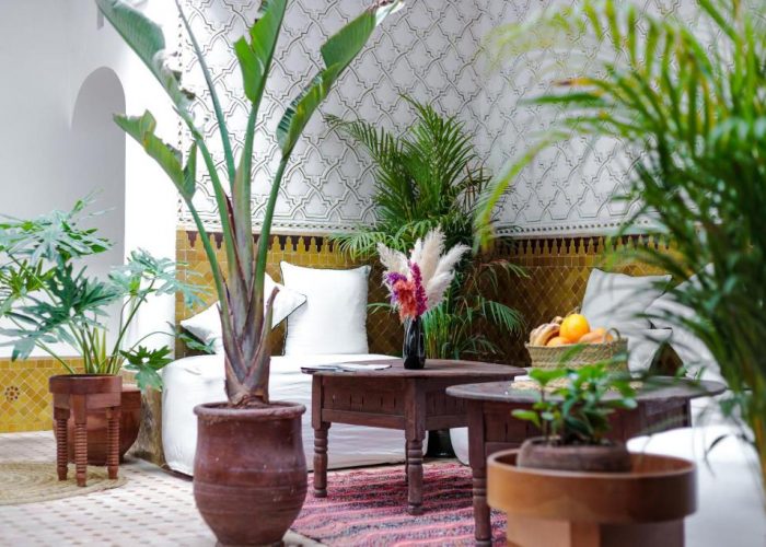 Image annonce: à vendre Fond de commerce riad avec 5 suites bien équipé à medina