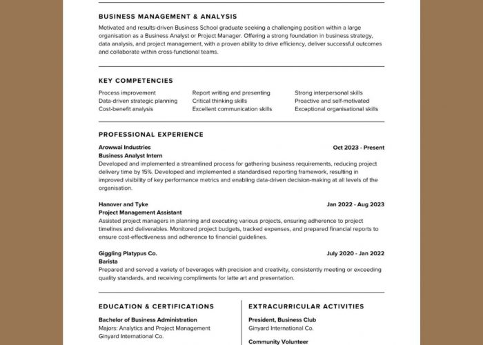 Image annonce: Cv professionnel/Cv Canadien