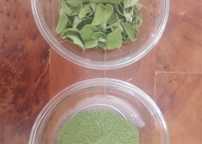 Image annonce: Feuilles sèches et poudre de Moringa
