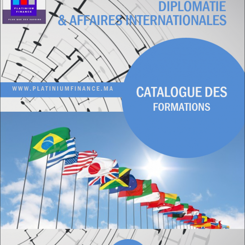 Annonce: FORMATIONS CADRES – DIPLOMATIE ET AFFAIRES INTERNATIONALE