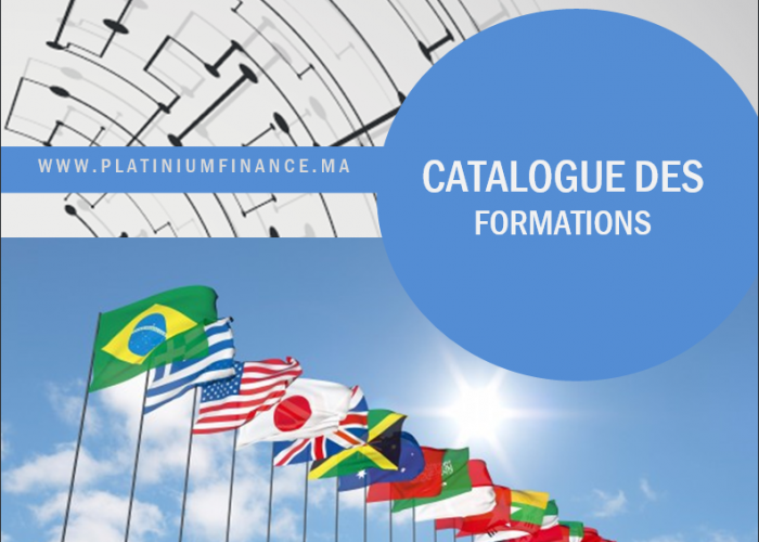 Image annonce: FORMATIONS CADRES – DIPLOMATIE ET AFFAIRES INTERNATIONALE