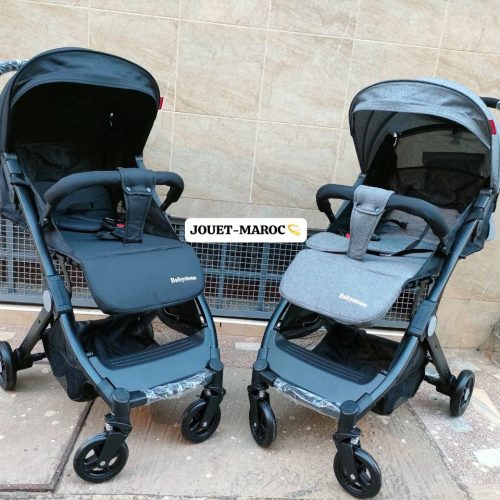 Annonce: Poussette Valisette Babystone