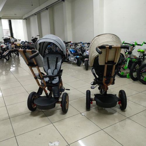 Annonce: Tricycle Poussette