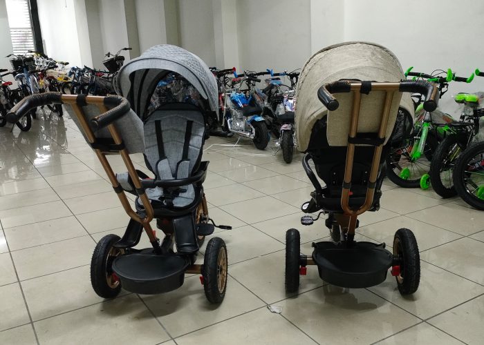 Image annonce: Tricycle Poussette