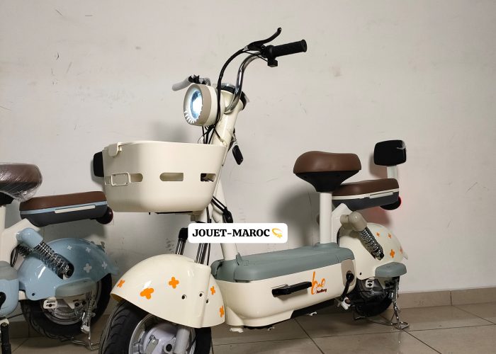 Image annonce: VÉLO ÉLECTRIQUE HAOMENG
