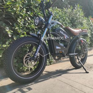 Annonce VÉLO ÉLECTRIQUE LIKEBIKE HARLEY U9
