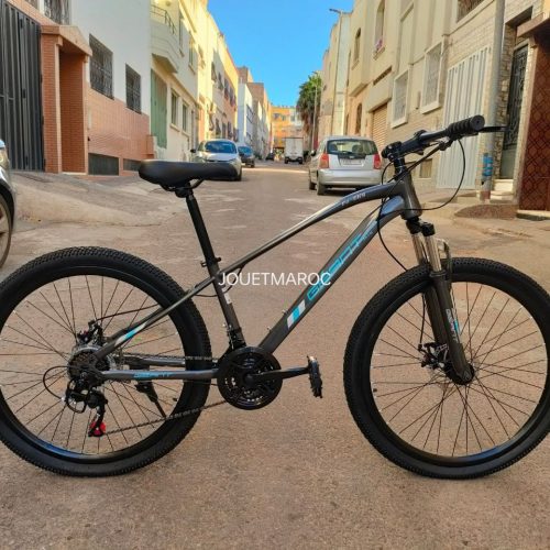 Annonce: VÉLO VTT GÉANT 2024