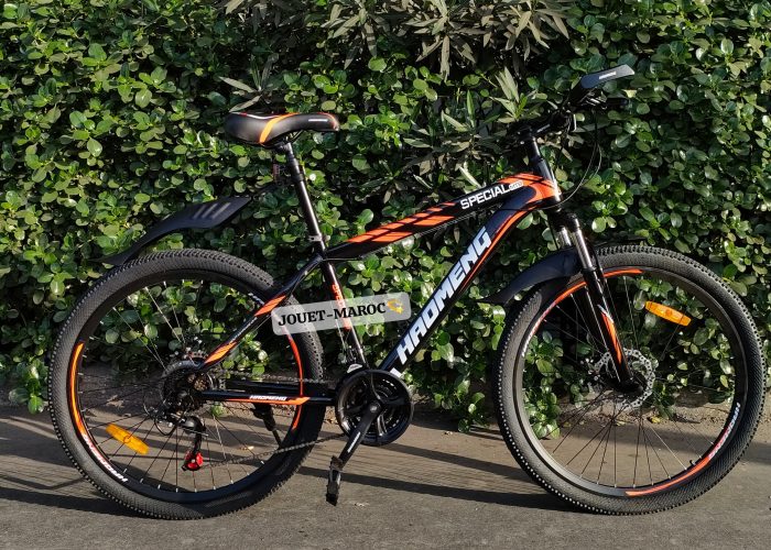Image annonce: VÉLO VTT HAOMENG 2024