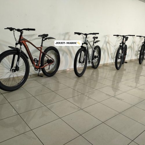 Annonce: VÉLO VTT HAOMENG 2024