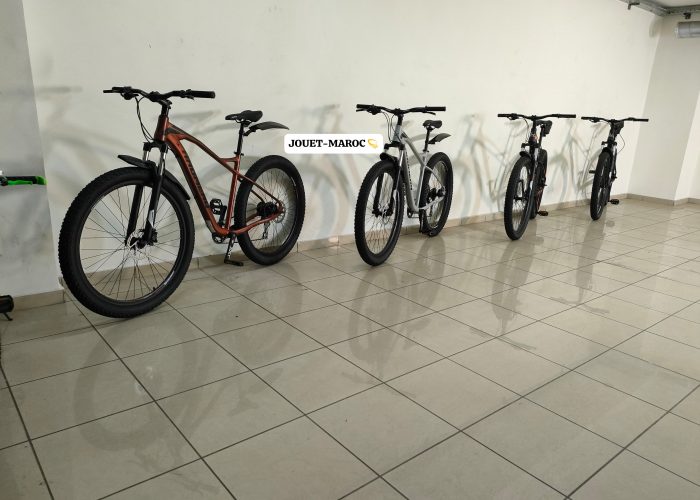 Image annonce: VÉLO VTT HAOMENG 2024