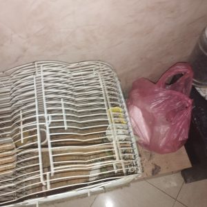 Annonce Cage calopsite avec sandoka