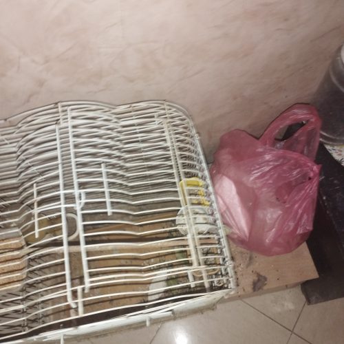 Annonce: Cage calopsite avec sandoka