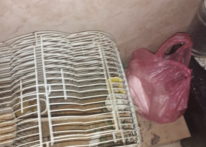 Image annonce: Cage calopsite avec sandoka