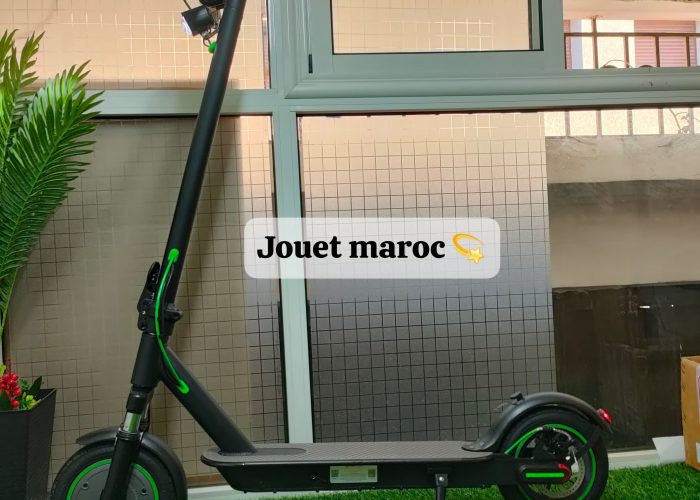 Image annonce: Scooter Green Moveway M 36V