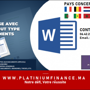 Annonce SERVICE DE MISE EN PLACE DETOUT TYPE DE DOCUMENTS