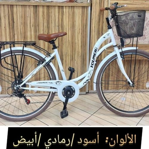 Annonce: Vélo madame YOUMEIG 28 pouces