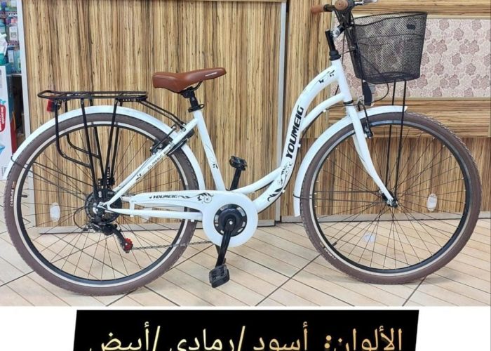 Image annonce: Vélo madame YOUMEIG 28 pouces
