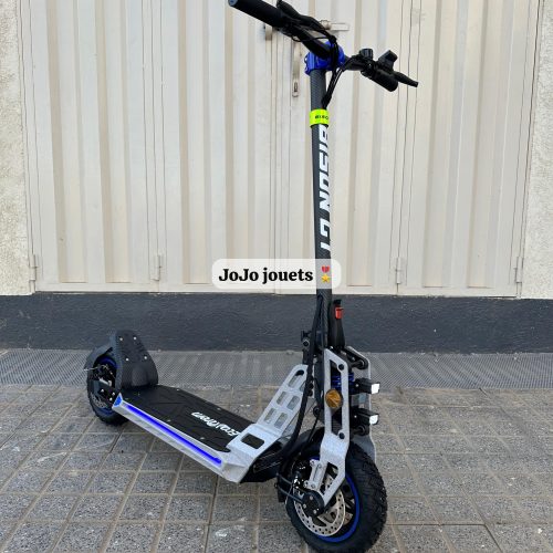 Annonce: Trottinette électrique bison