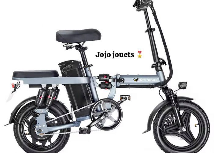 Image annonce: Vélo Électrique S6 PRO 48V