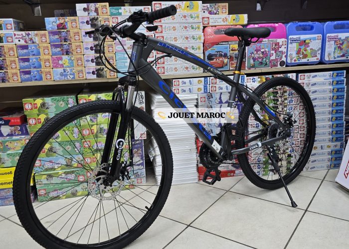 Image annonce: Vélo VTT CICLISTA 26 pouce