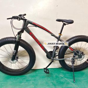 Annonce Vélo VTT CICLISTA PLUS