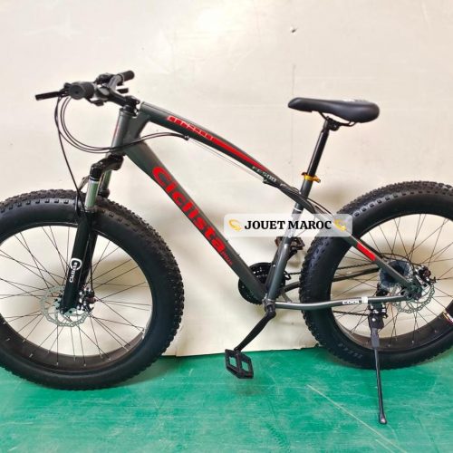 Annonce: Vélo VTT CICLISTA PLUS