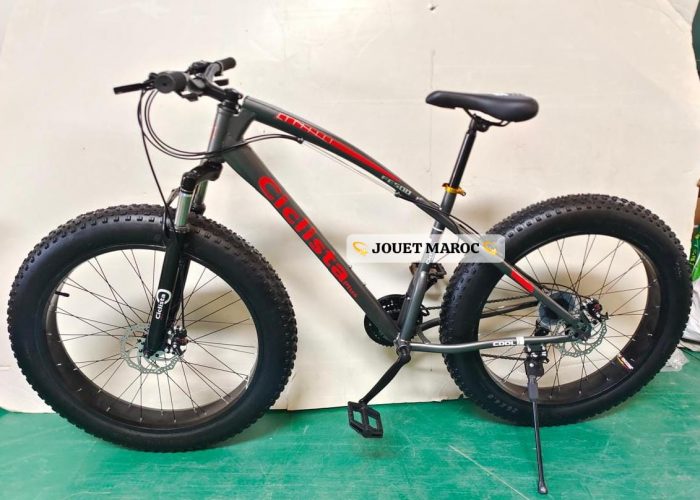 Image annonce: Vélo VTT CICLISTA PLUS