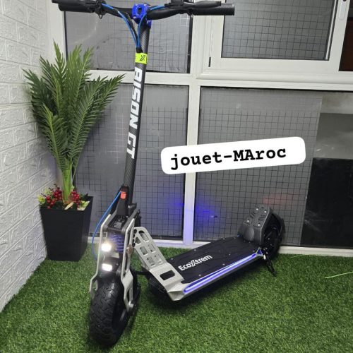 Annonce: TROTTINETTE BISON GT 1000W