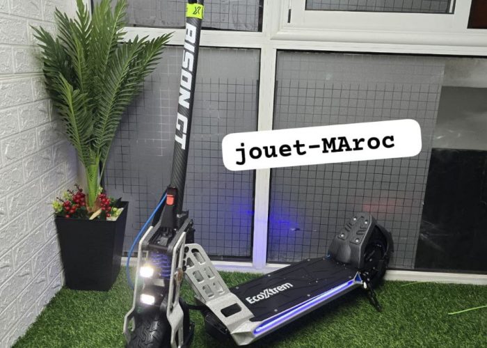 Image annonce: TROTTINETTE BISON GT 1000W