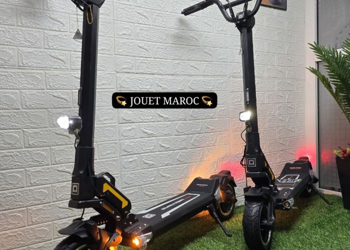 Image annonce: TROTTINETTE DUALTRON TOGO