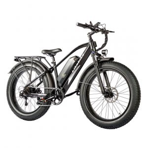 Annonce Vélo Électrique Likebike Lander Ebike 48V
