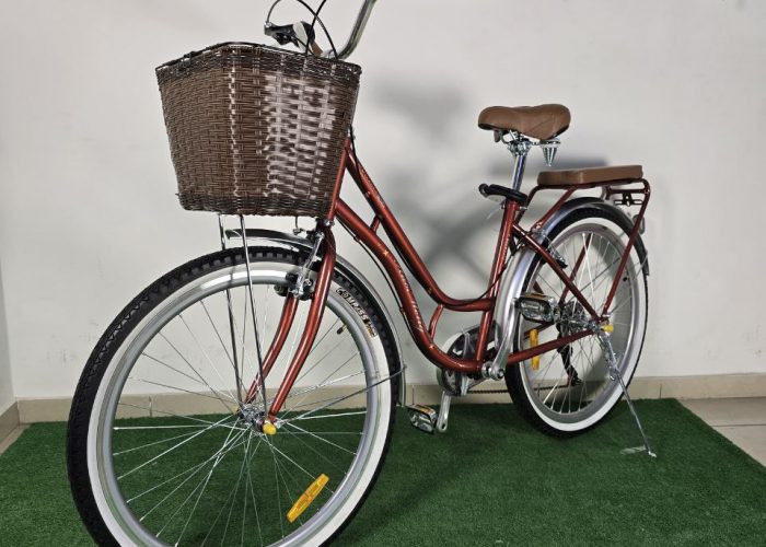 Image annonce: VÉLO MADAME HADMENG 26P