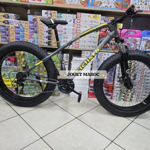 Annonce VÉLO VTT CICLISTA  26 × 4.0 POUCES