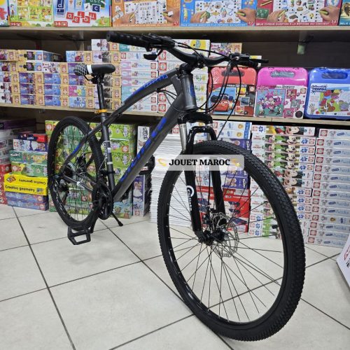Annonce: VÉLO VTT CICLISTA 26P