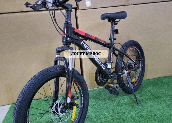 Image annonce: VÉLO VTT HADMENG 20P