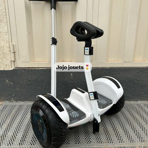 Annonce: Segway hoverboard