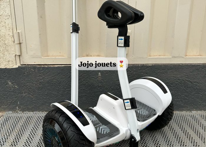 Image annonce: Segway hoverboard